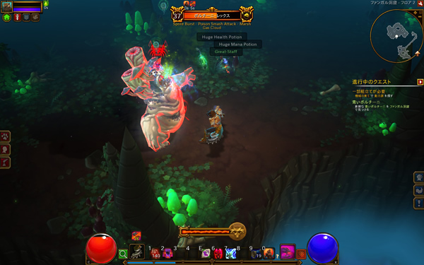 torchlight205